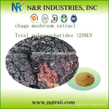 chaga mushroom extract Total polysaccharides >25%UV (Anthrone - sulfuric acid method)